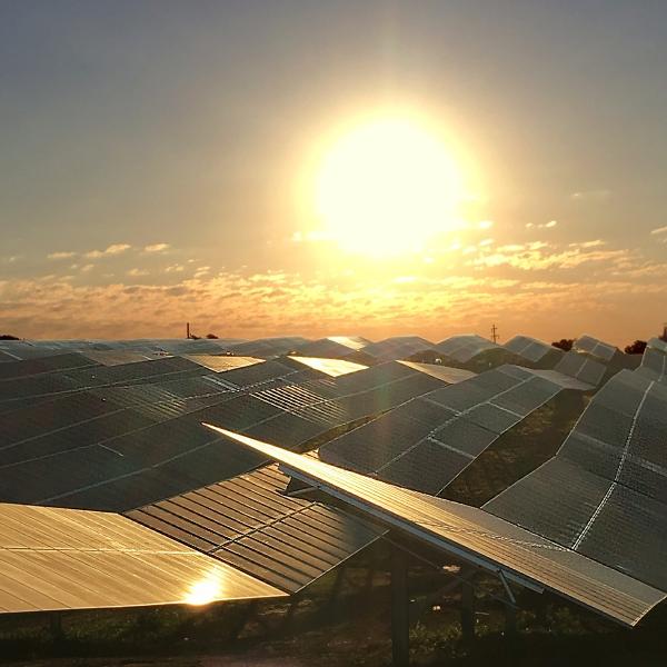 solar farm